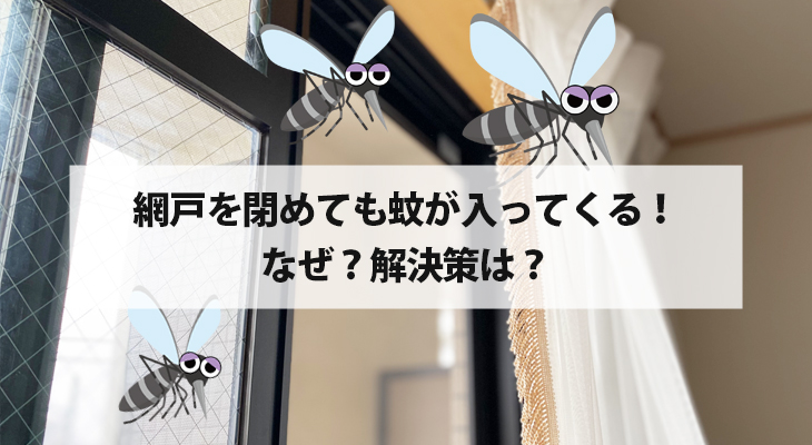 網戸を閉めても蚊が入ってくる!なぜ?解決策は?