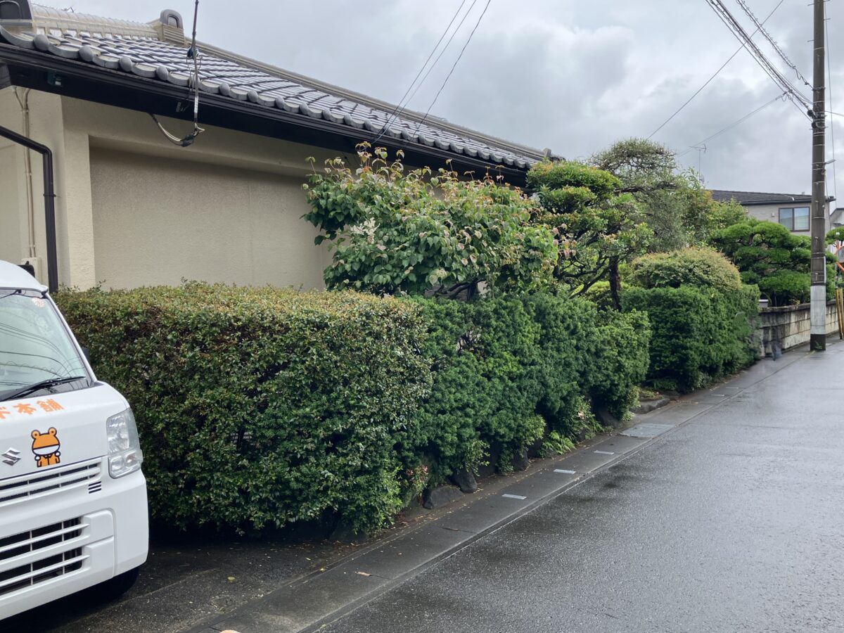 完全に隠しすぎないのがポイントです。